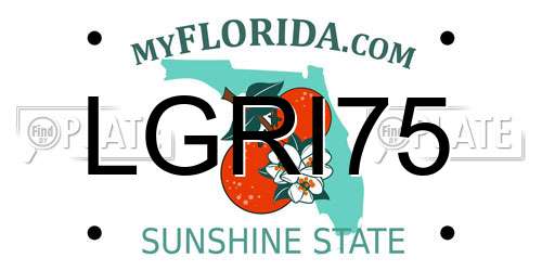 LGRI75 Florida License Plate