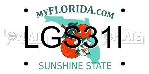 LGS31I Florida License Plate