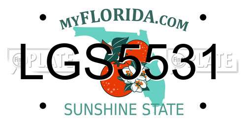 LGS5531 Florida License Plate