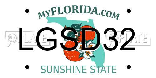 LGSD32 Florida License Plate