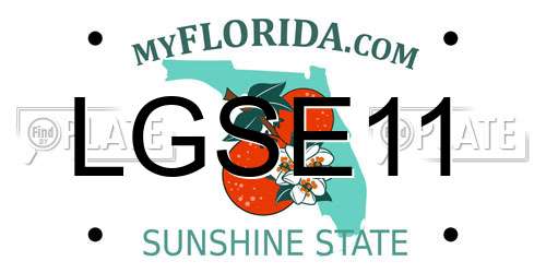 LGSE11 Florida License Plate