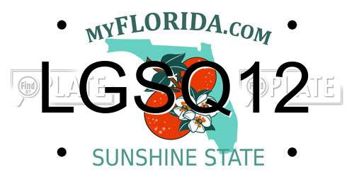 LGSQ12 Florida License Plate