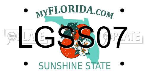 LGSS07 Florida License Plate