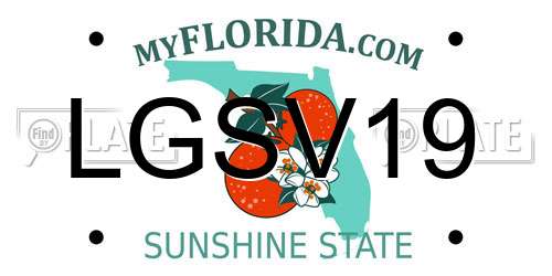 LGSV19 Florida License Plate
