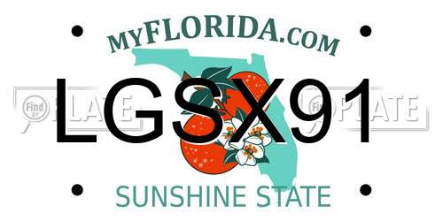 LGSX91 Florida License Plate
