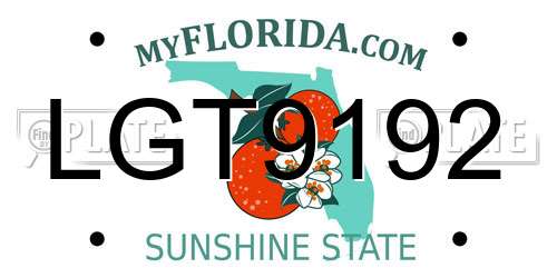 LGT9192 Florida License Plate