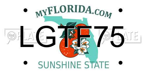 LGTF75 Florida License Plate