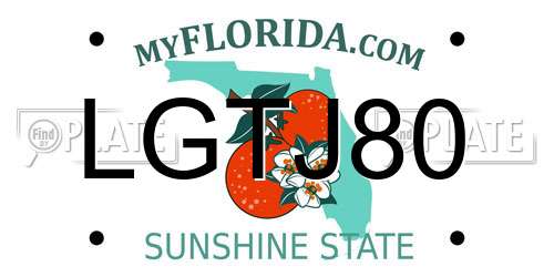 LGTJ80 Florida License Plate