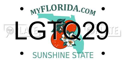 LGTQ29 Florida License Plate