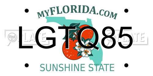 LGTQ85 Florida License Plate