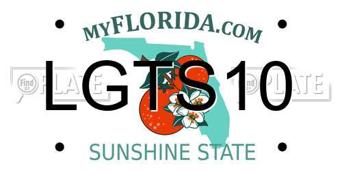 LGTS10 Florida License Plate