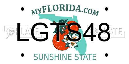 LGTS48 Florida License Plate