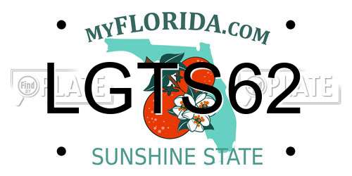 LGTS62 Florida License Plate