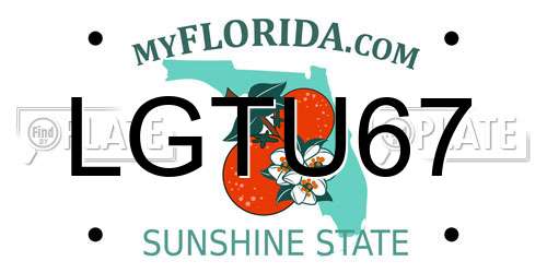 LGTU67 Florida License Plate