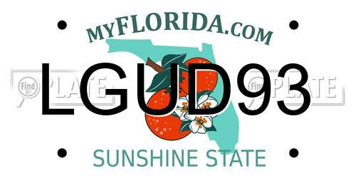 LGUD93 Florida License Plate