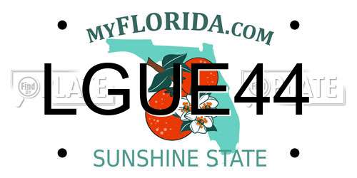 LGUE44 Florida License Plate
