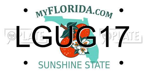 LGUG17 Florida License Plate