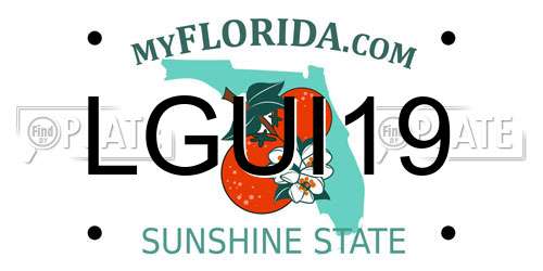 LGUI19 Florida License Plate