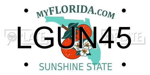 LGUN45 Florida License Plate