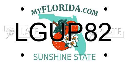 LGUP82 Florida License Plate