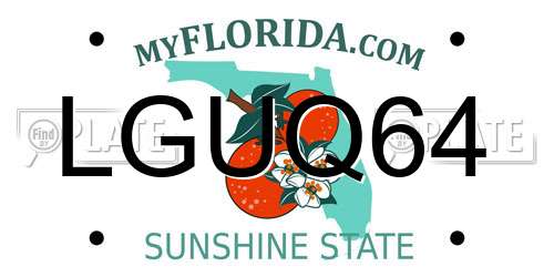 LGUQ64 Florida License Plate