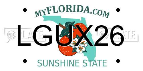 LGUX26 Florida License Plate