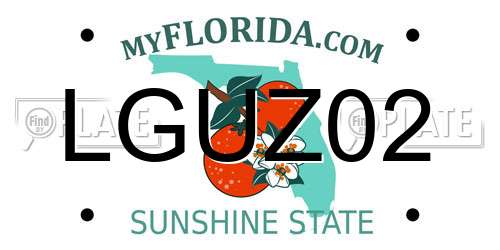 LGUZ02 Florida License Plate