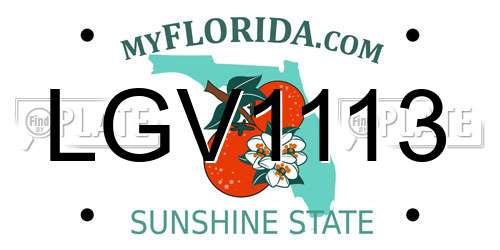 LGV1113 Florida License Plate