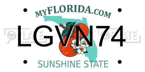 LGVN74 Florida License Plate