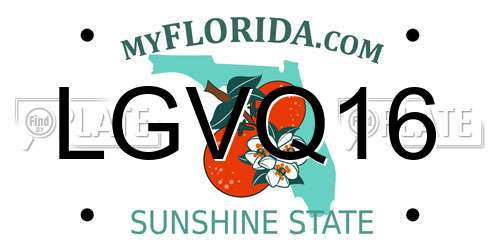 LGVQ16 Florida License Plate