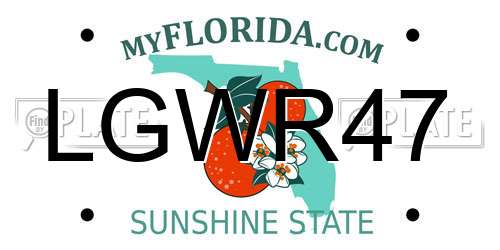LGWR47 Florida License Plate