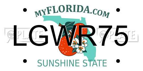 LGWR75 Florida License Plate