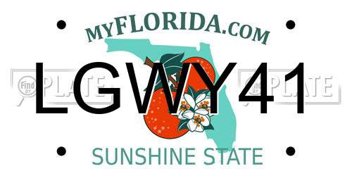 LGWY41 Florida License Plate