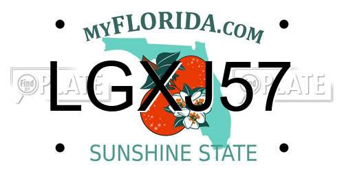 LGXJ57 Florida License Plate
