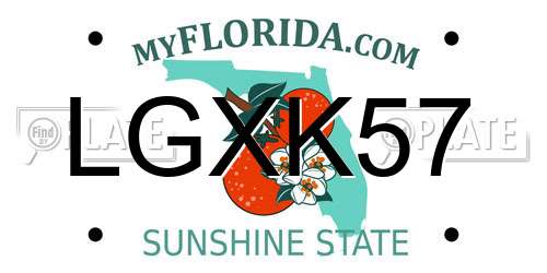 LGXK57 Florida License Plate