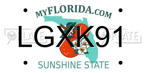 LGXK91 Florida License Plate