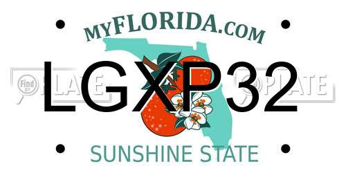 LGXP32 Florida License Plate