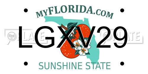 LGXV29 Florida License Plate