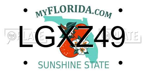 LGXZ49 Florida License Plate