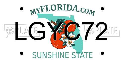 LGYC72 Florida License Plate