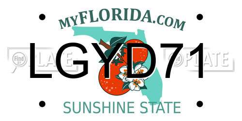LGYD71 Florida License Plate