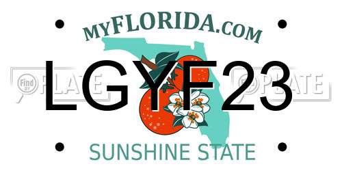 LGYF23 Florida License Plate