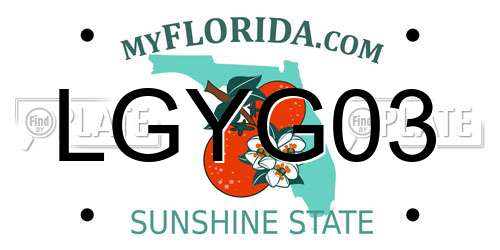 LGYG03 Florida License Plate