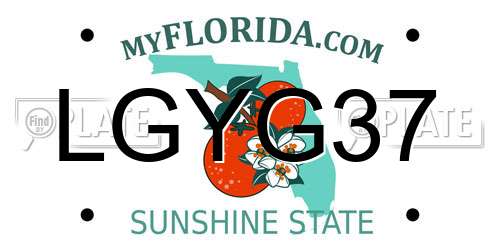 LGYG37 Florida License Plate