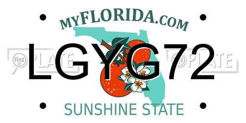 LGYG72 Florida License Plate