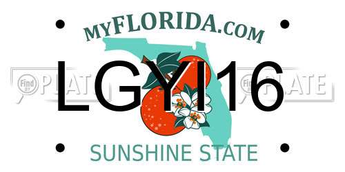 LGYI16 Florida License Plate