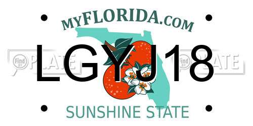 LGYJ18 Florida License Plate