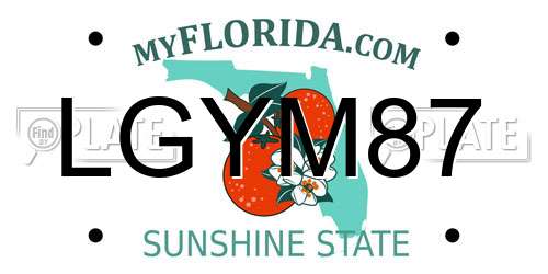 LGYM87 Florida License Plate