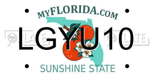 LGYU10 Florida License Plate
