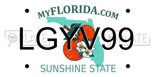 LGYV99 Florida License Plate